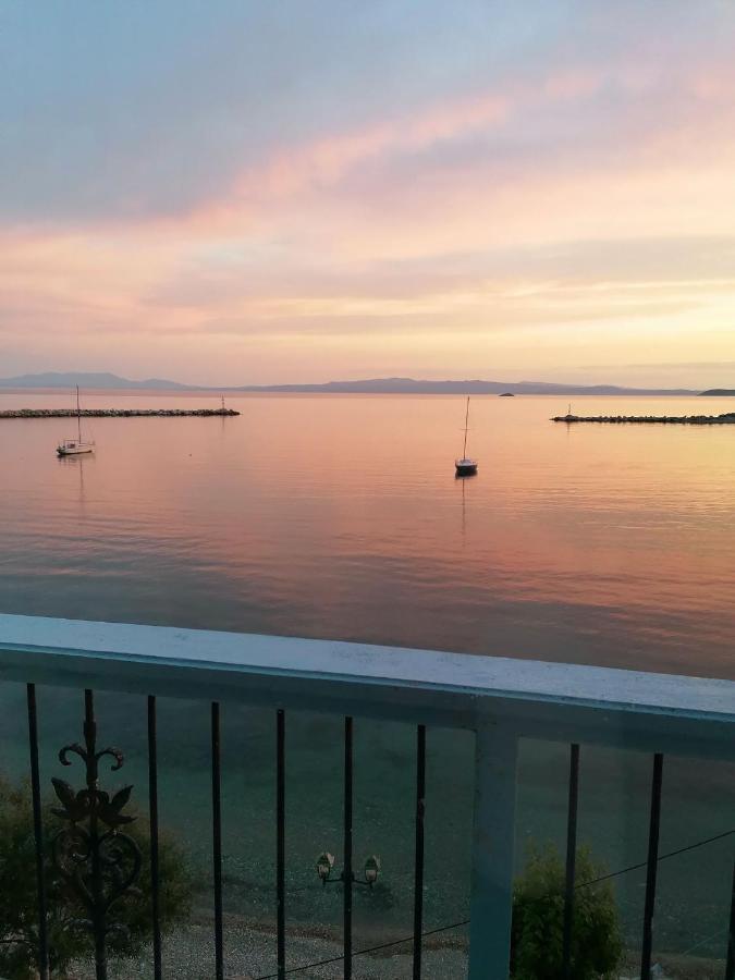 Villa Evmenia Panoramic View & Sea Front Apartments Skopelos Extérieur photo