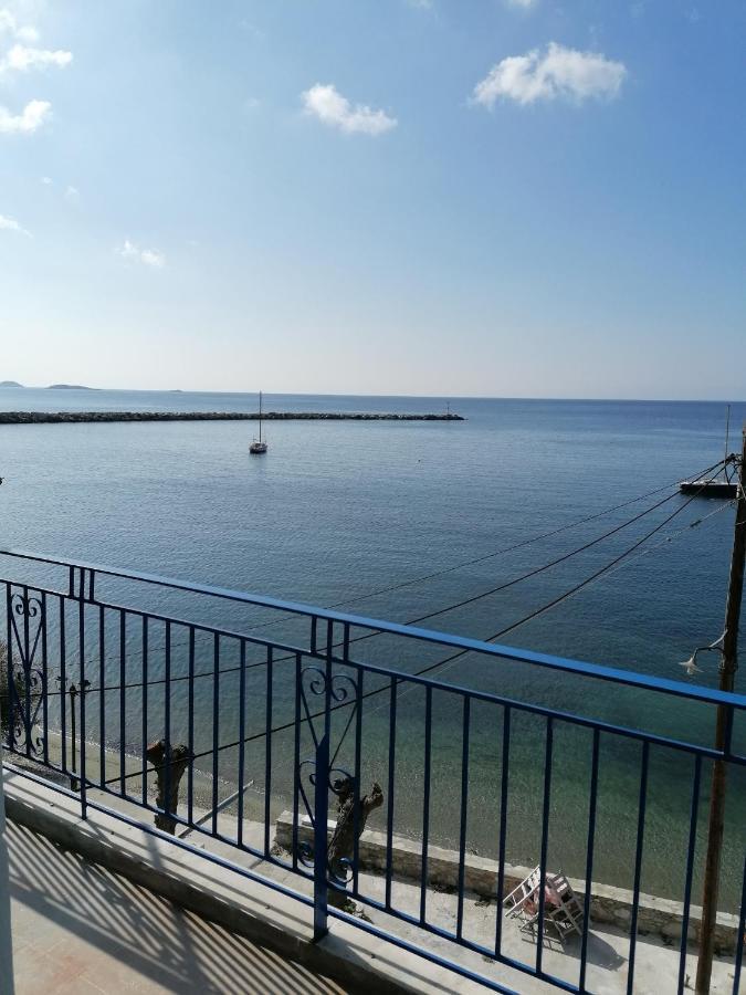 Villa Evmenia Panoramic View & Sea Front Apartments Skopelos Extérieur photo